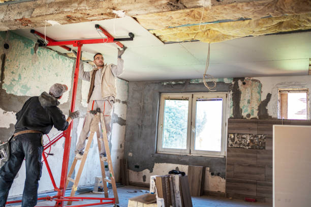 Best Insulation Maintenance and Repair in Iola, WI